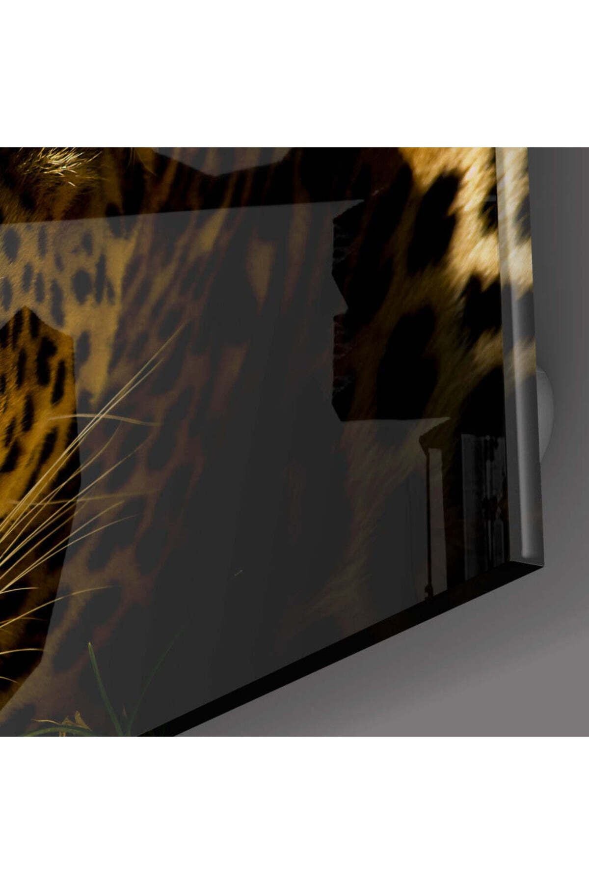 Leopar Cam Tablo
