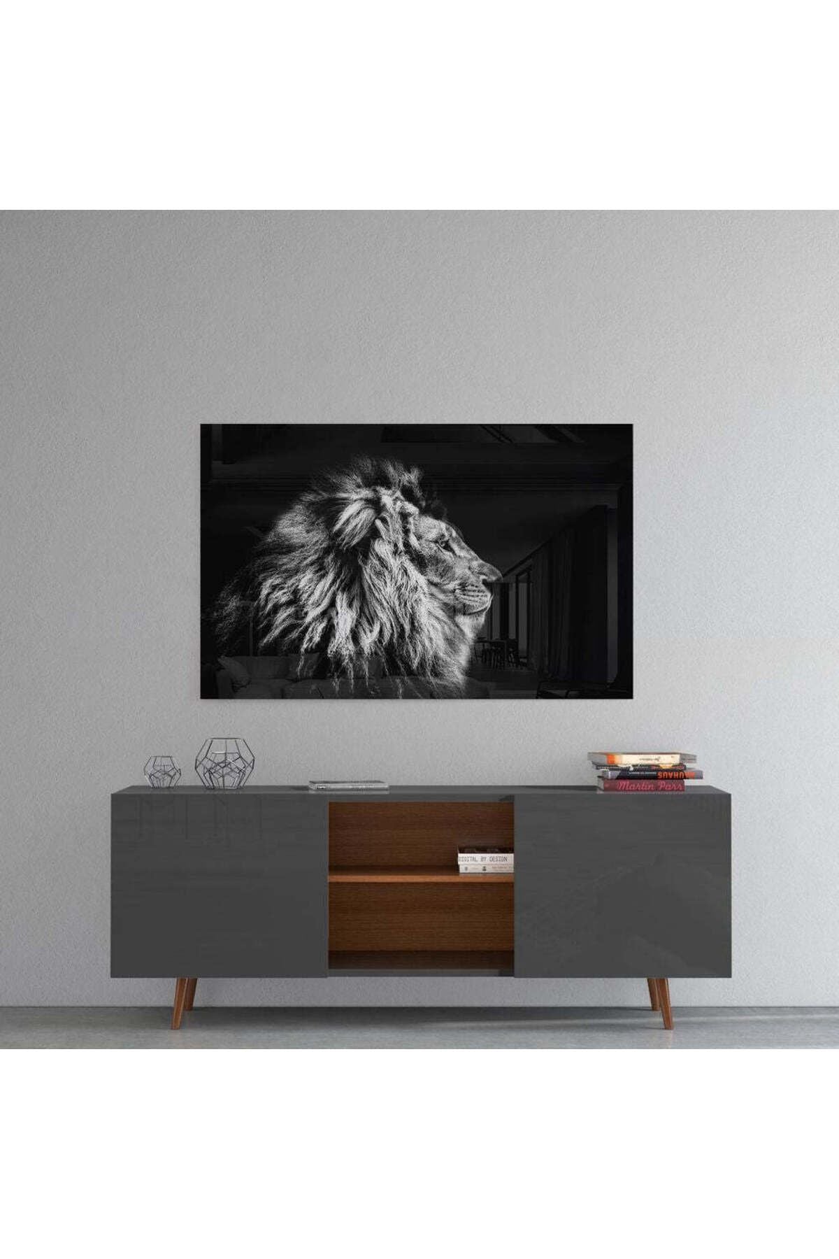 Aslan Cam Tablo
