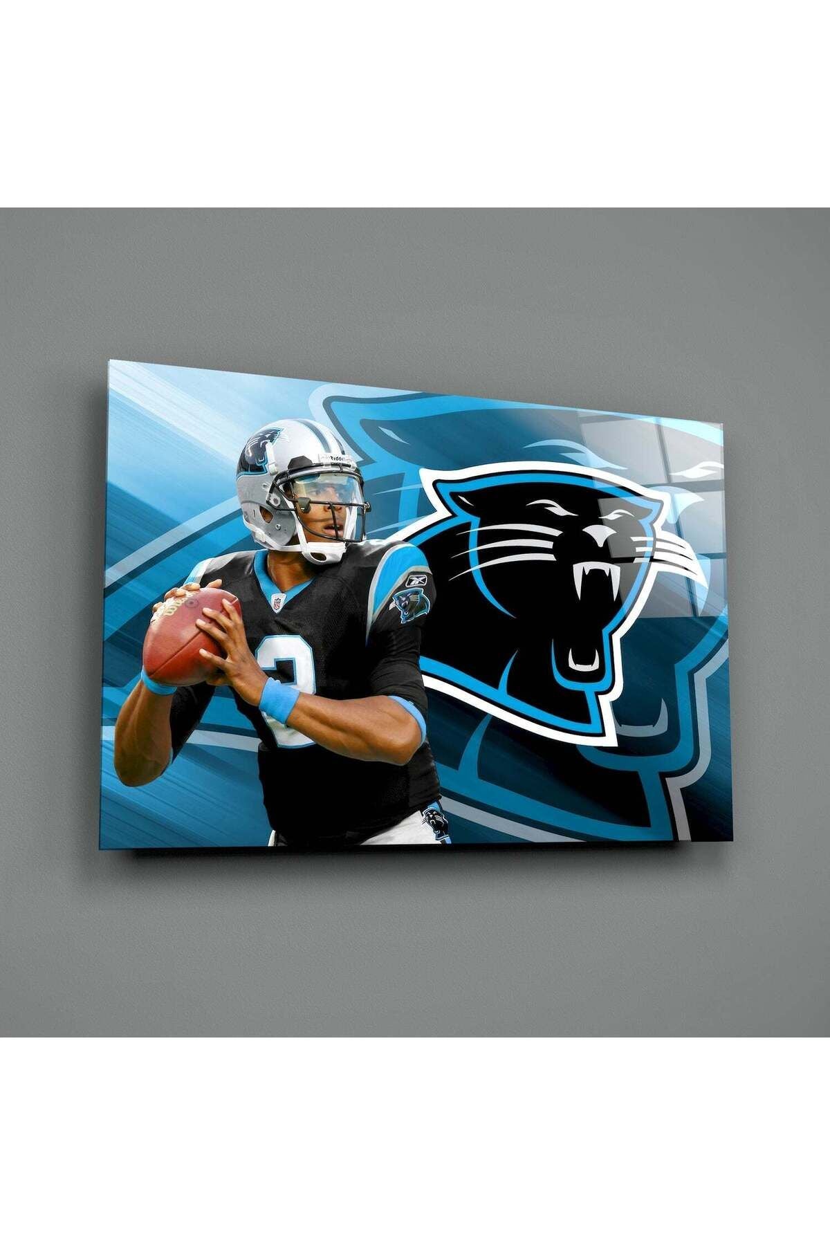 Carolina Panthers Cam Tablo