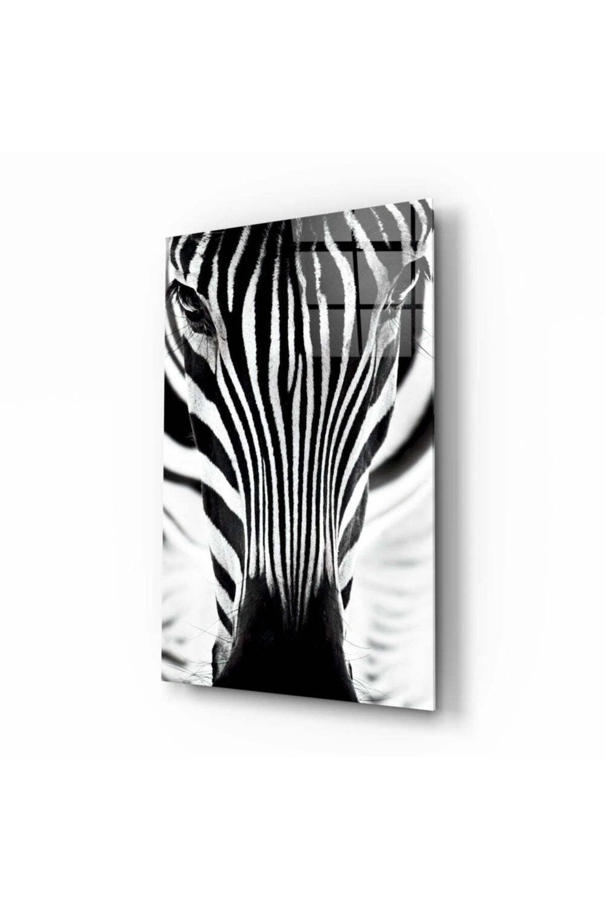 Zebra Cam Tablo