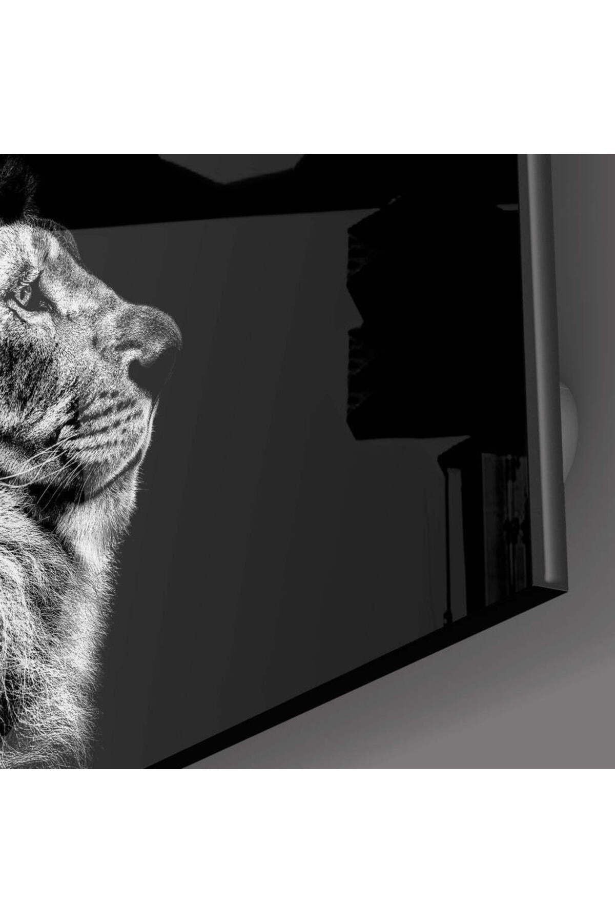 Aslan Cam Tablo