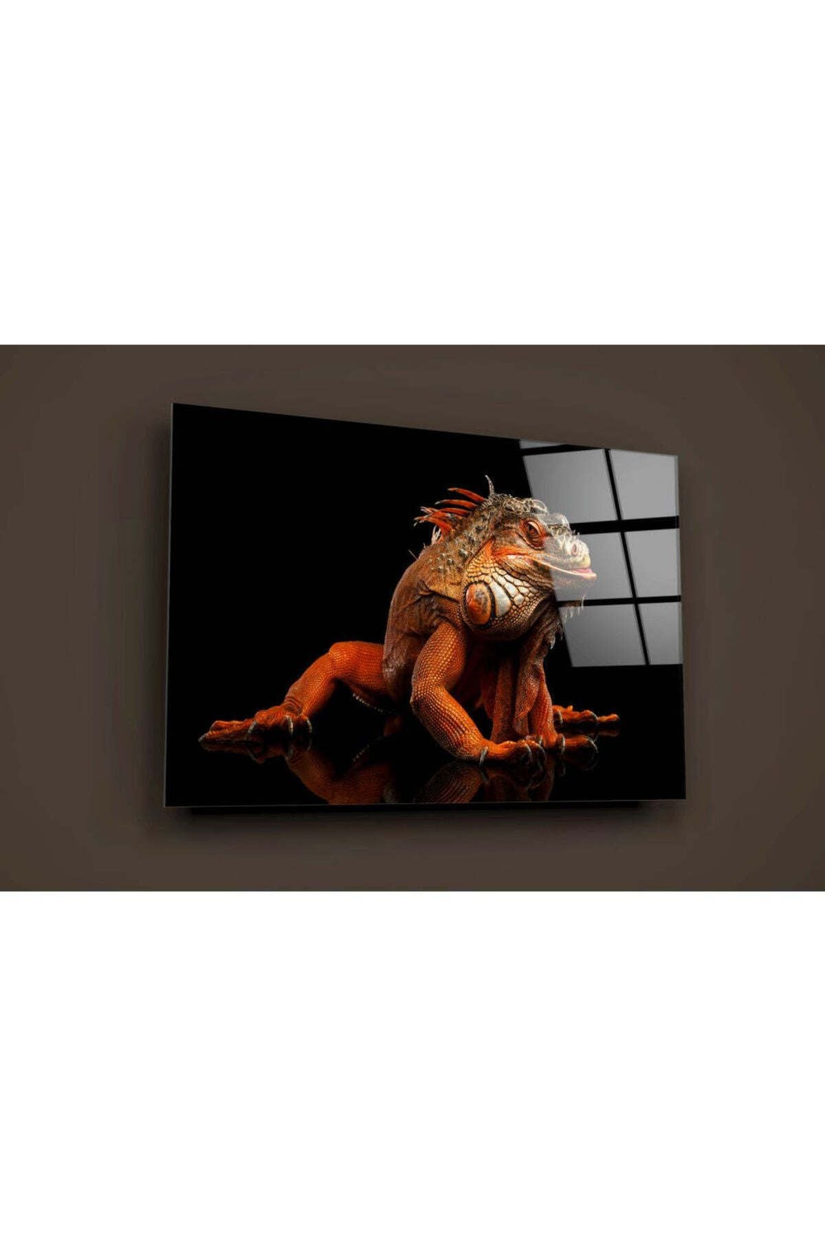 Komodo Ejderi Cam Tablo