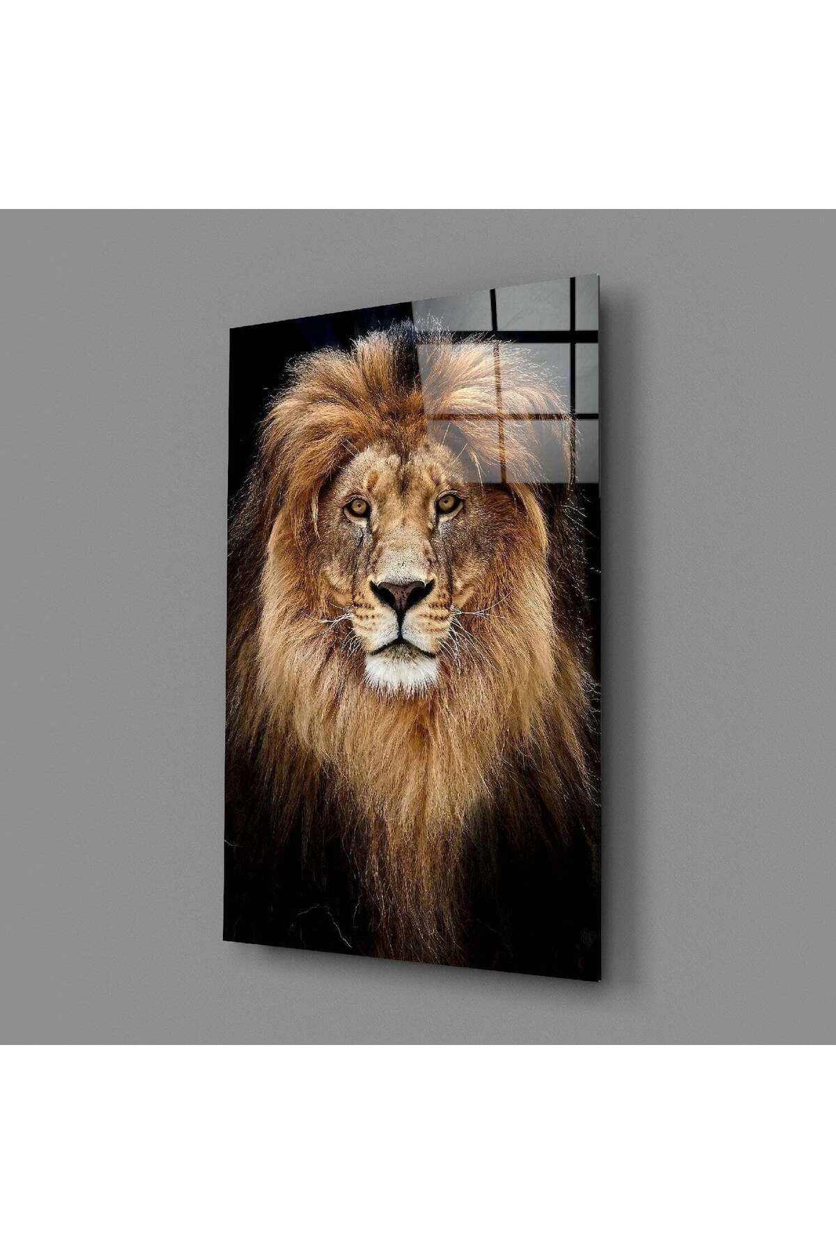 Aslan Cam Tablo
