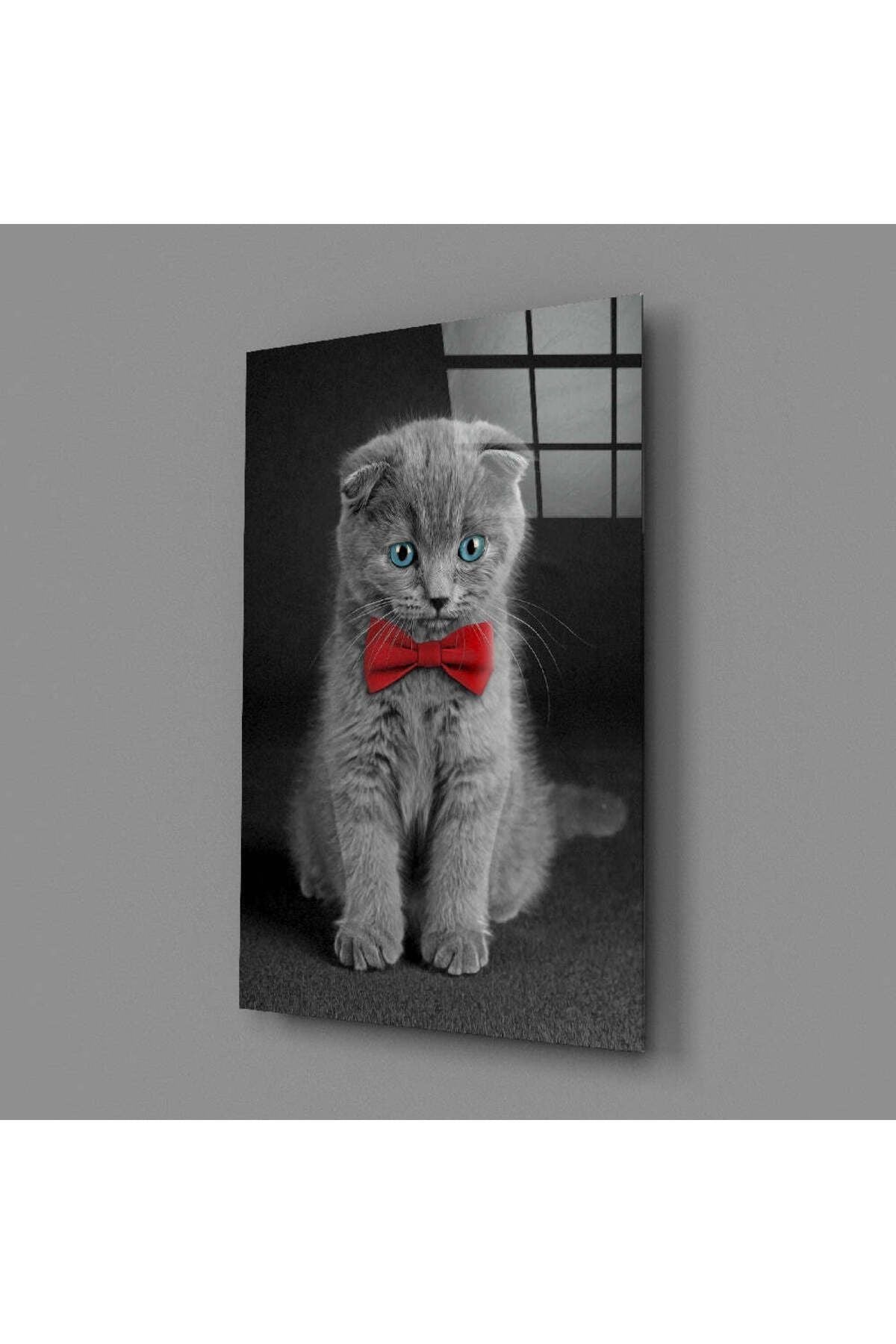 Kedi Cam Tablo