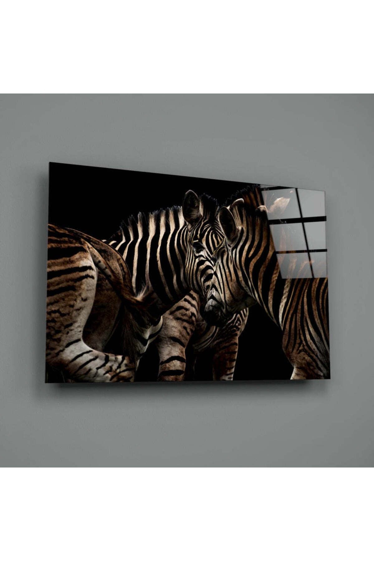 Zebra Cam Tablo