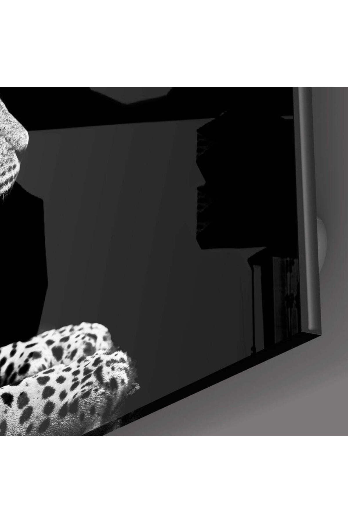 Leopar Cam Tablo