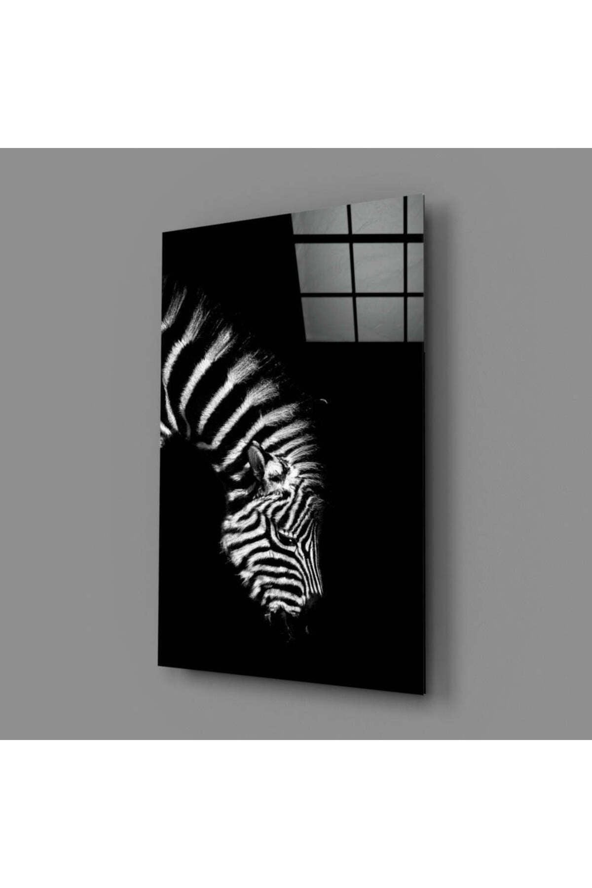 Zebra Cam Tablo