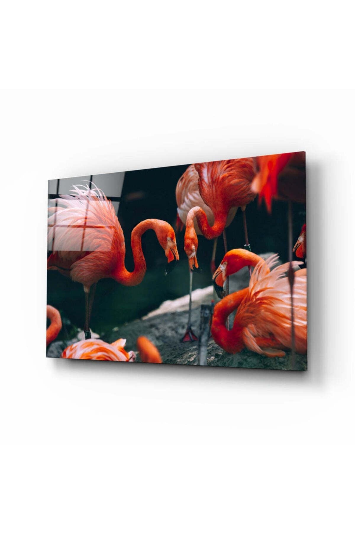 Flamingolar Cam Tablo