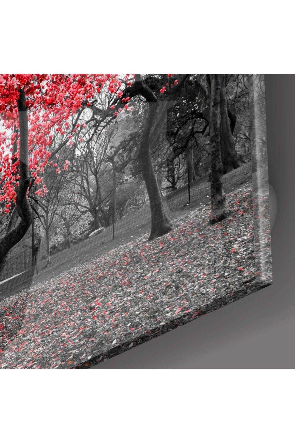 Kırmızı Ağaç Cam Tablo