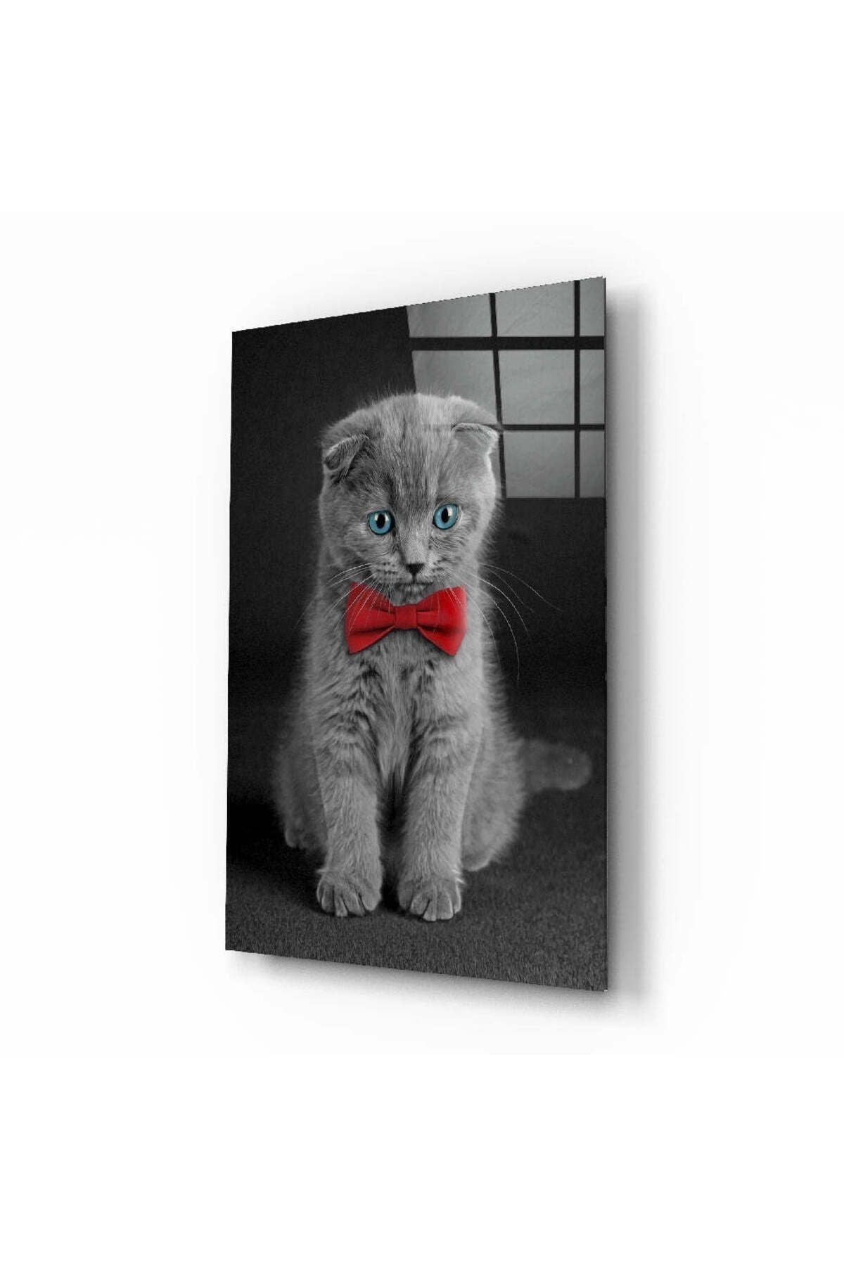 Kedi Cam Tablo
