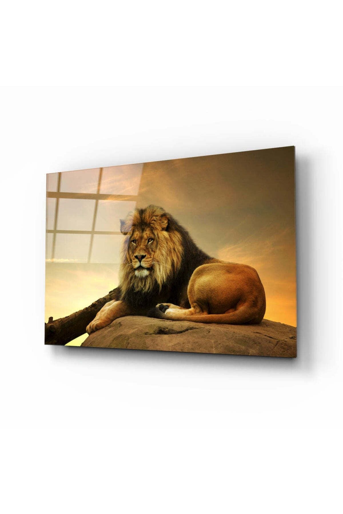 Aslan Cam Tablo