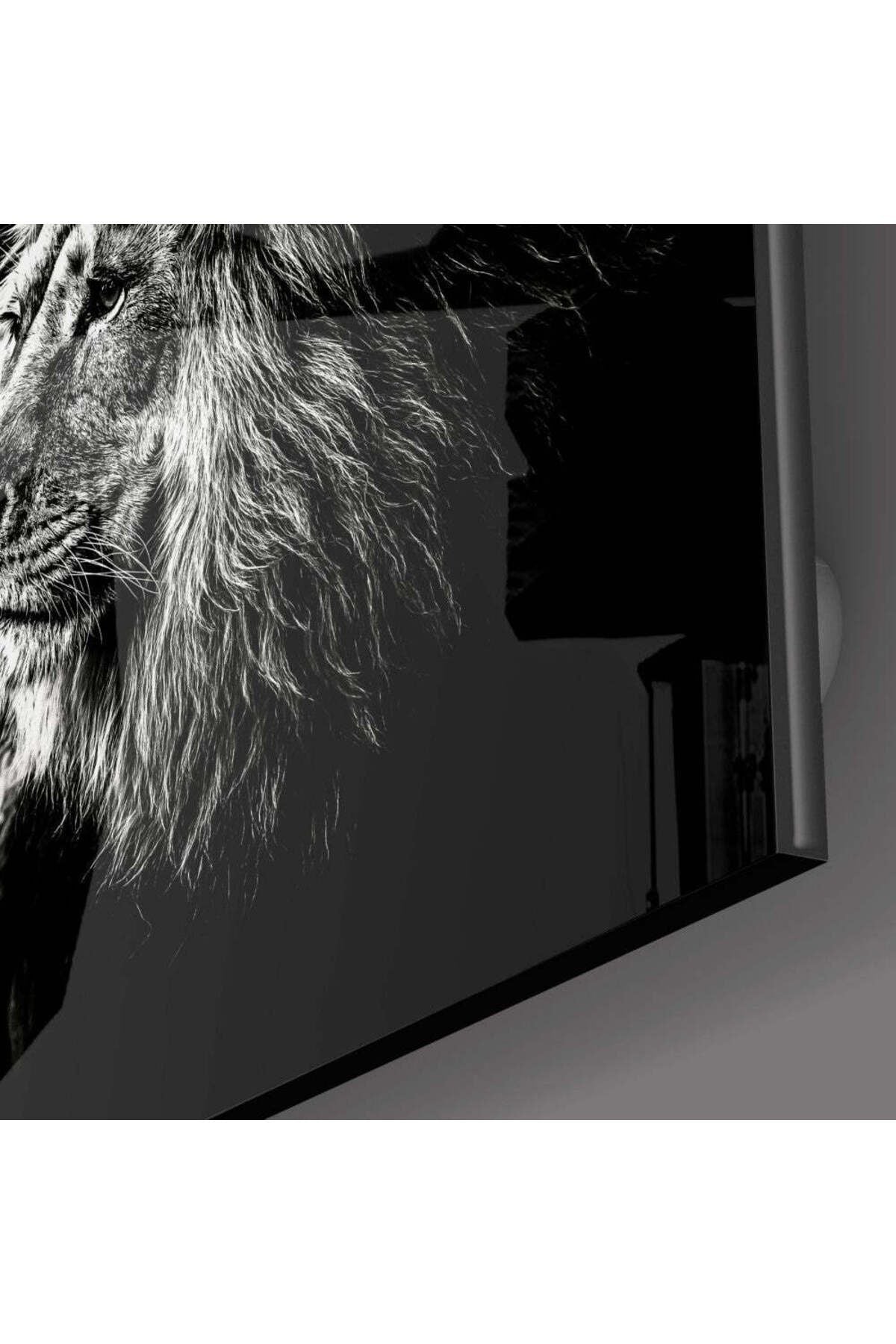 Aslan Cam Tablo