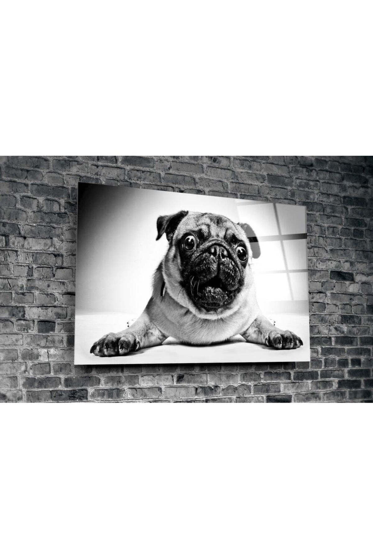 Pug Cam Tablo