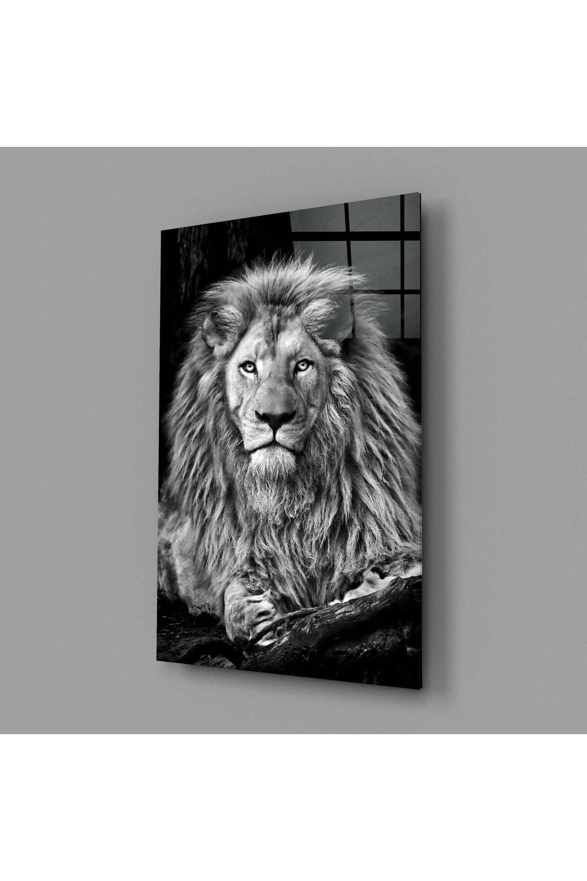 Aslan Cam Tablo