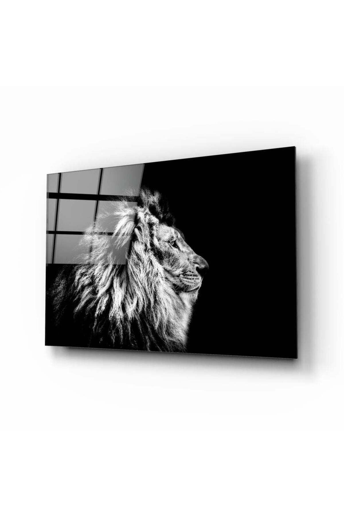 Aslan Cam Tablo