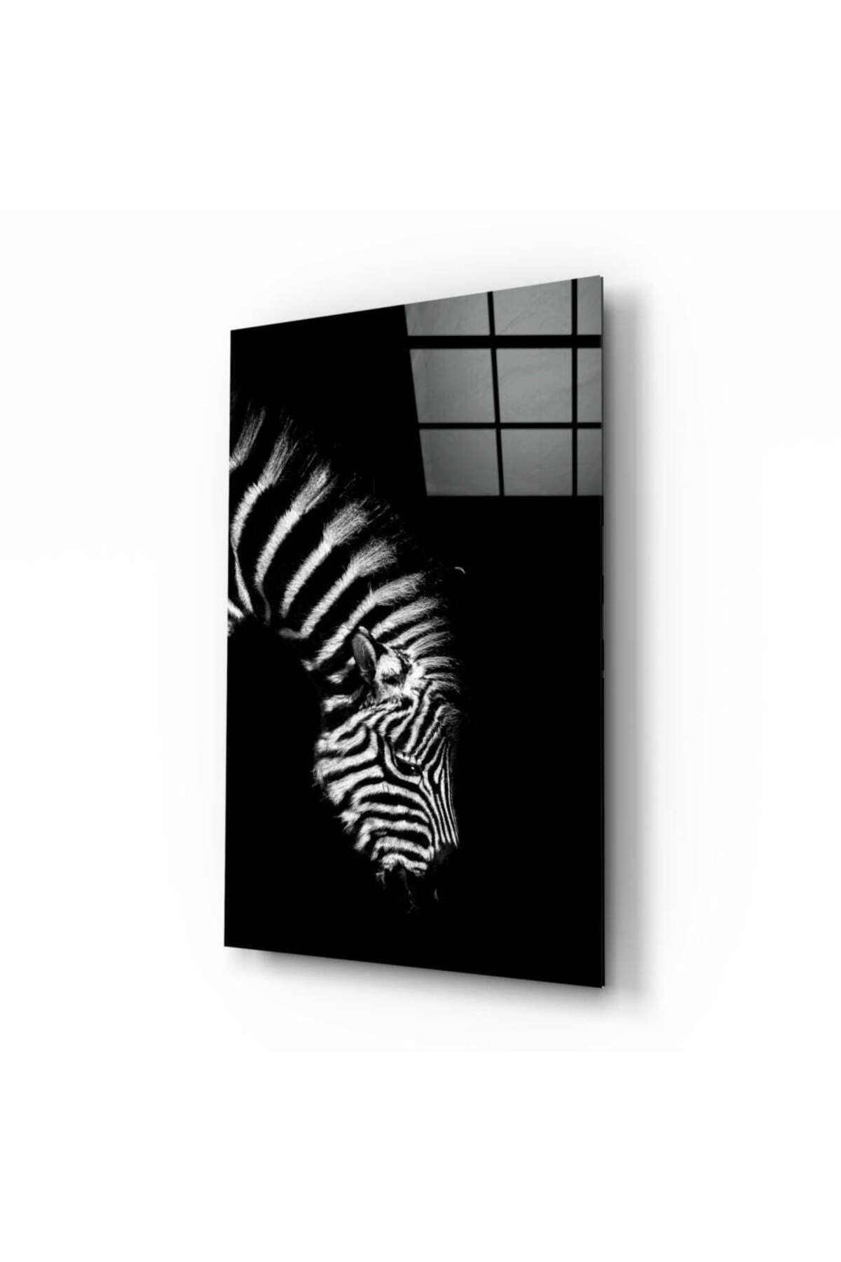 Zebra Cam Tablo