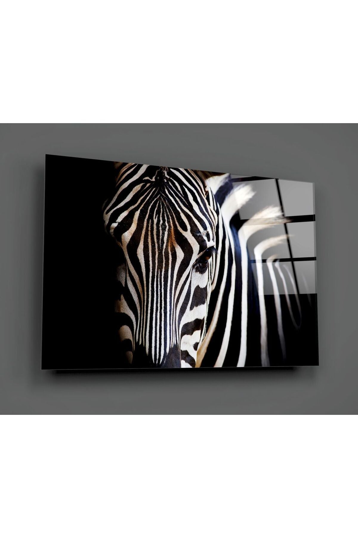 Zebra Cam Tablo