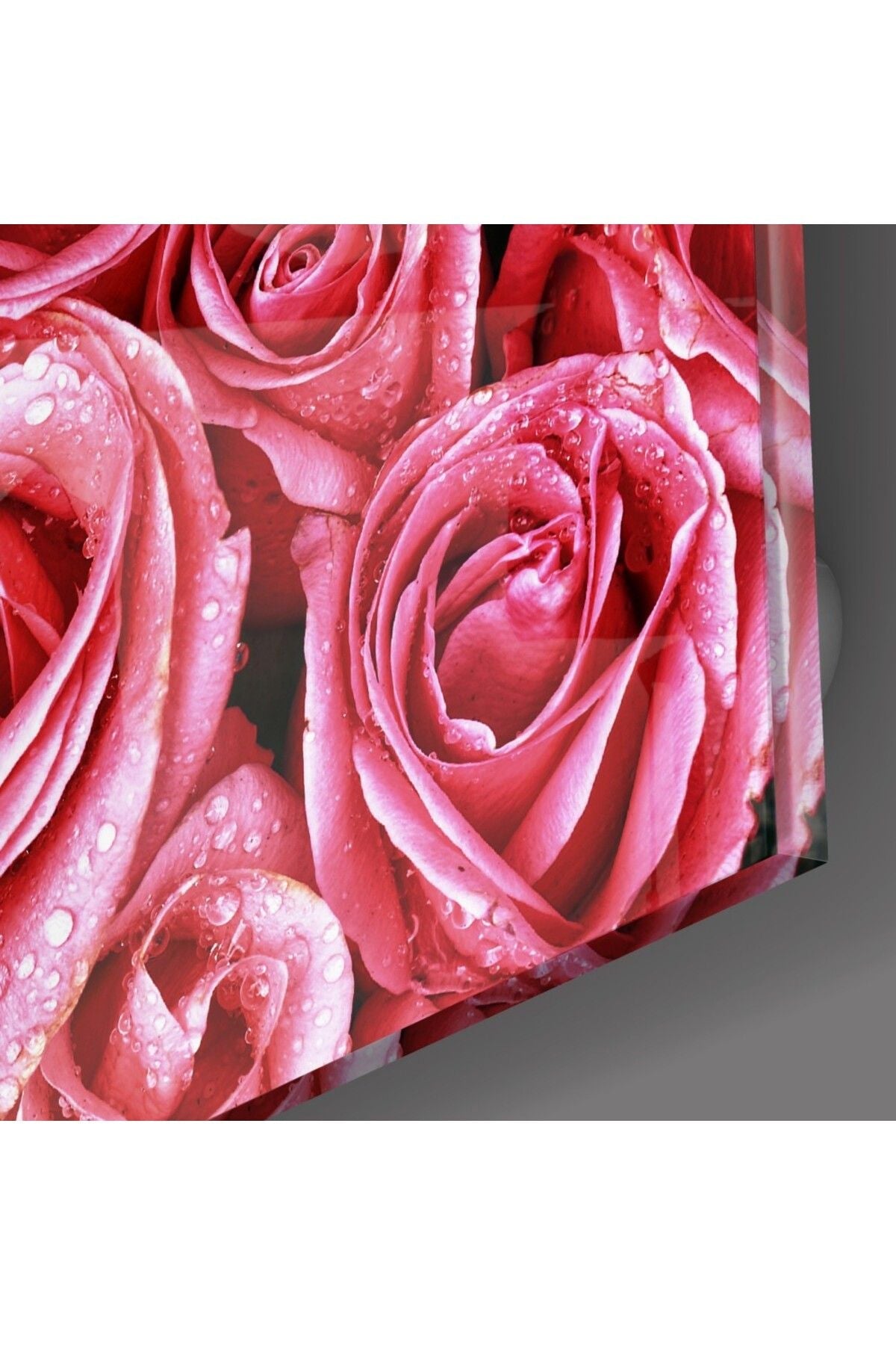 Pembe Gül Cam Tablo
