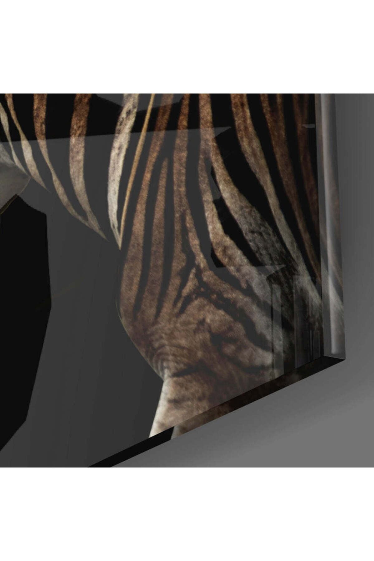Zebra Cam Tablo