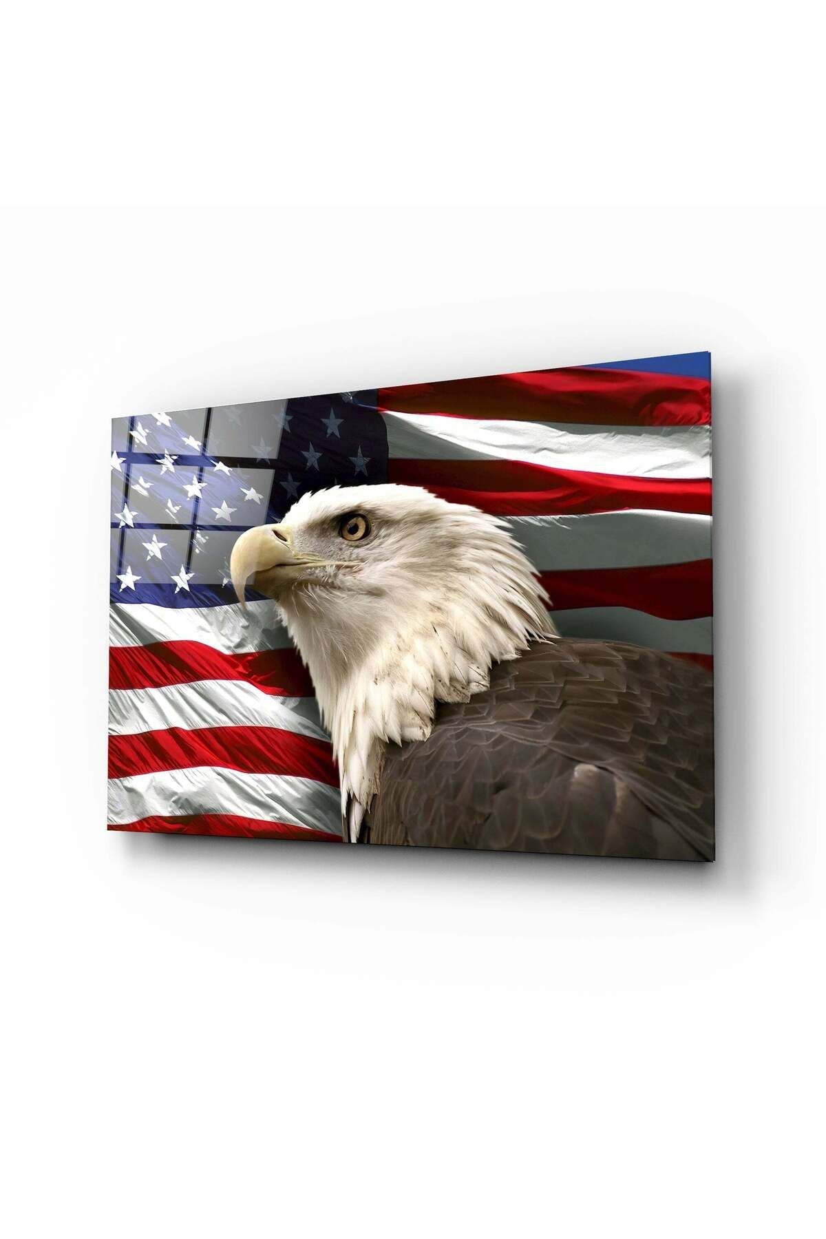 Amerikan Kartalı Cam Tablo