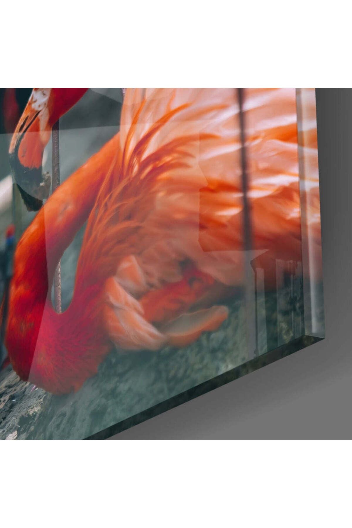 Flamingolar Cam Tablo