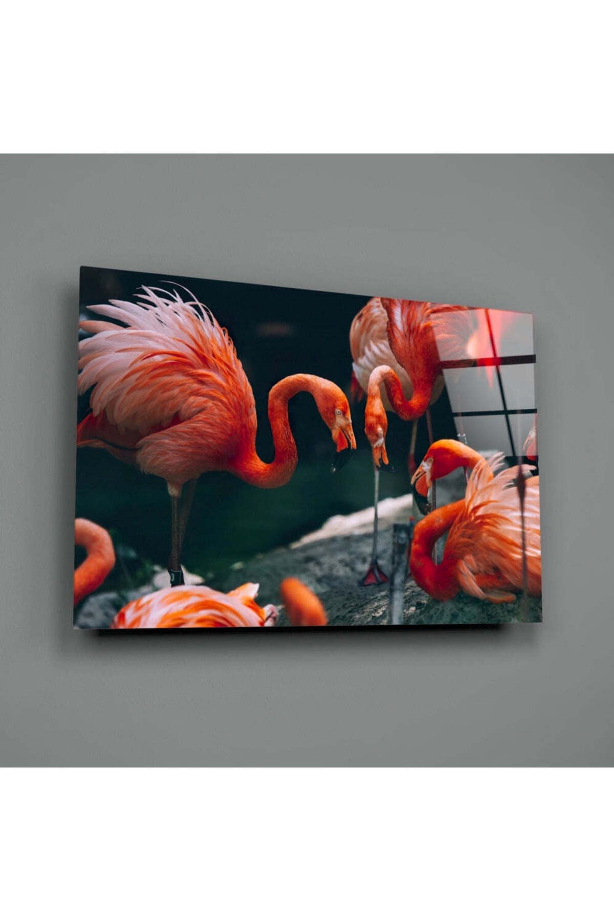 Flamingolar Cam Tablo