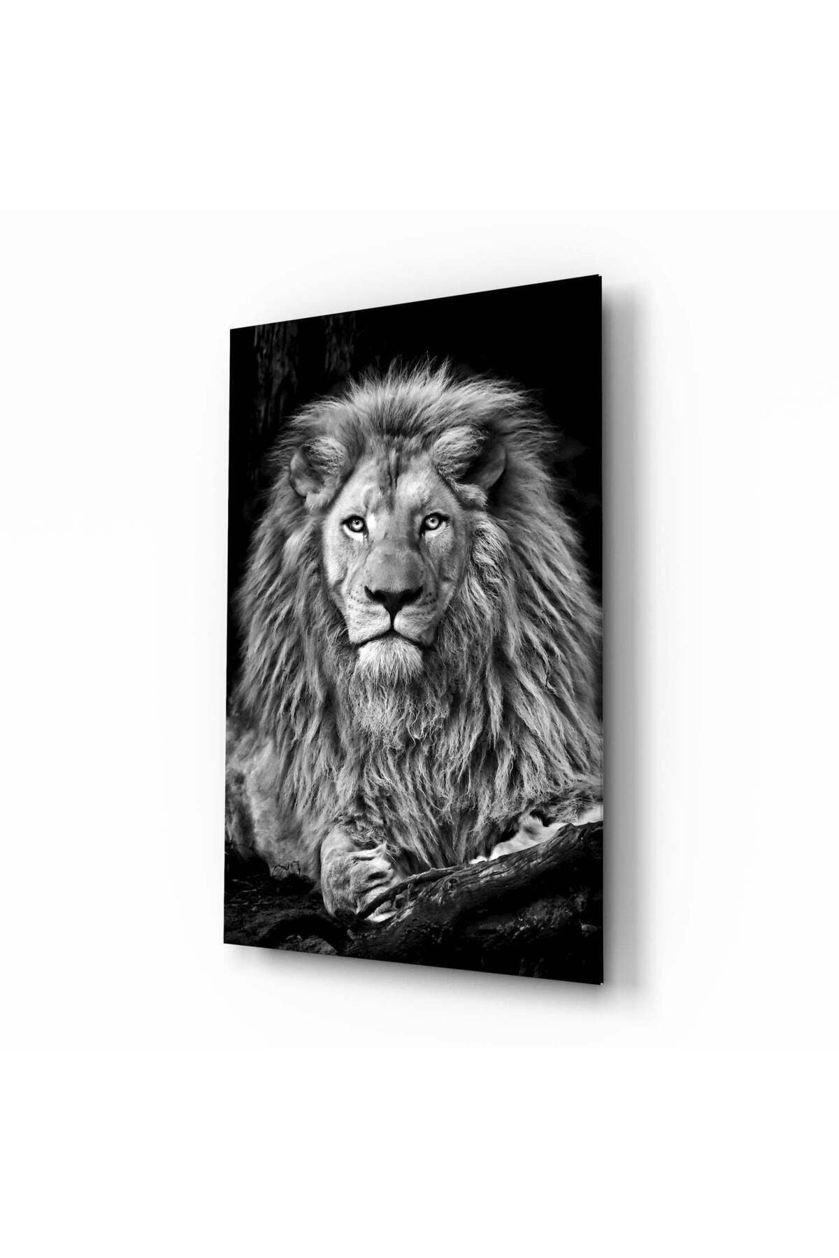 Aslan Cam Tablo