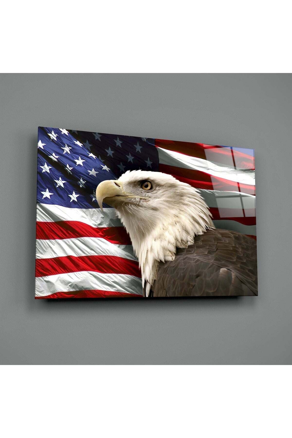 Amerikan Kartalı Cam Tablo