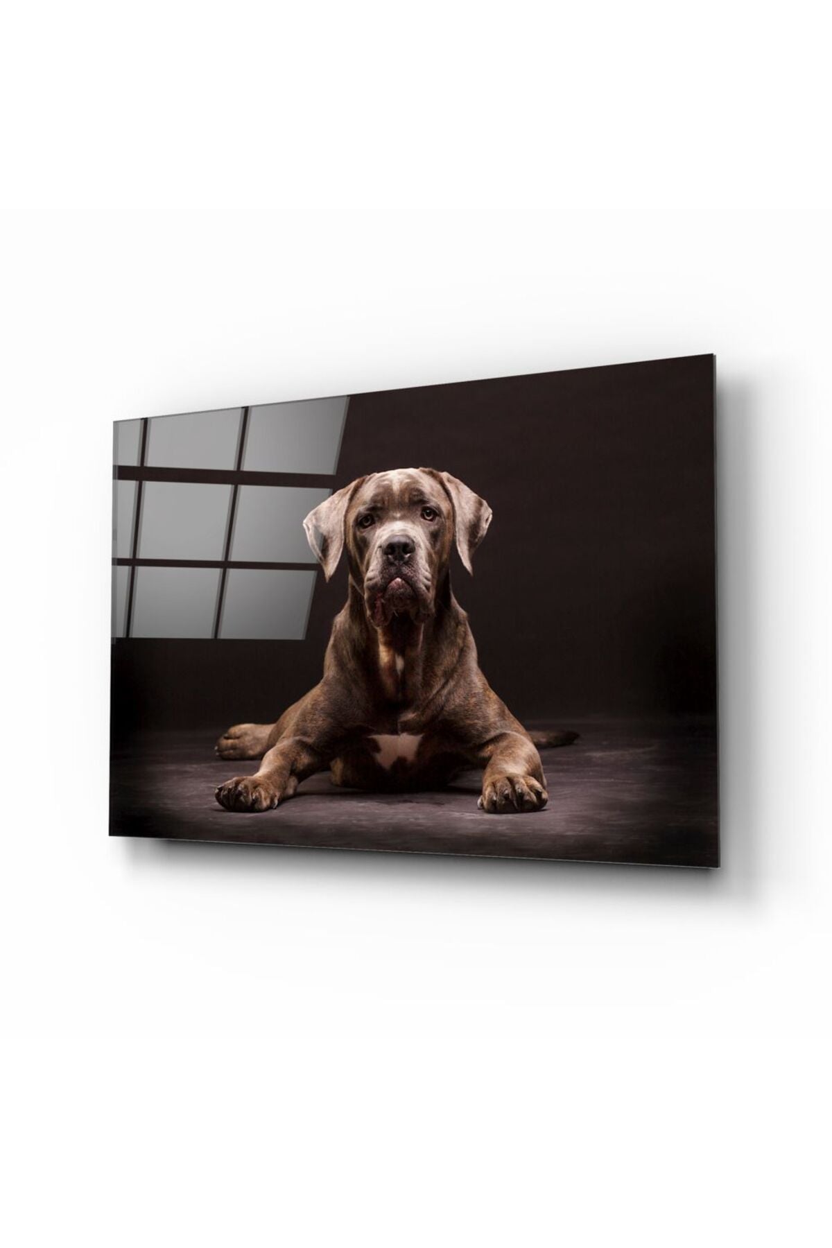 Köpek Cam Tablo