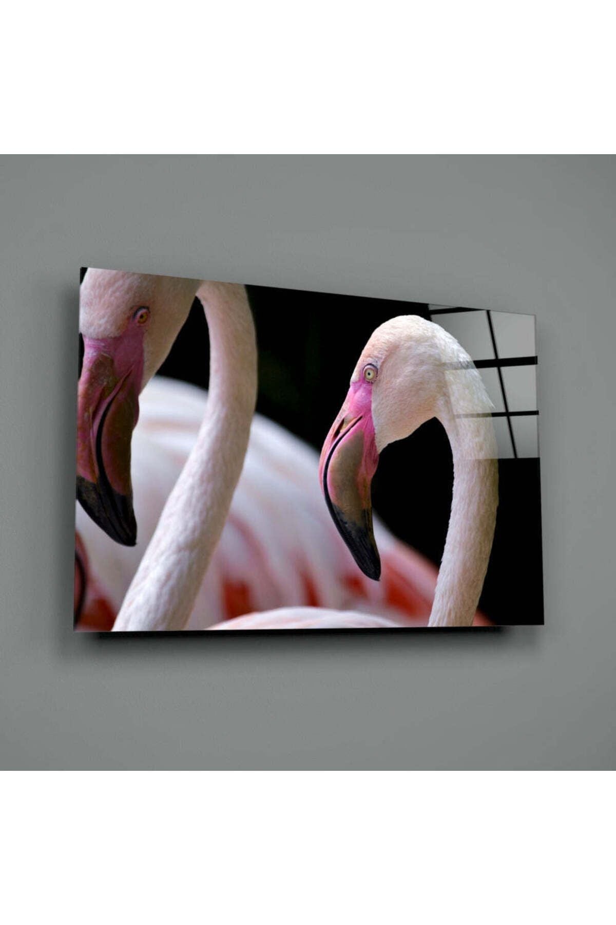 Flamingo Cam Tablo
