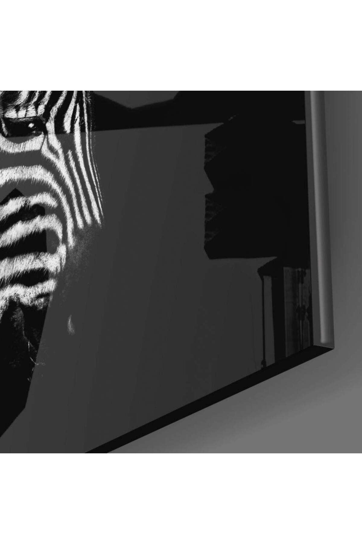Zebra Cam Tablo