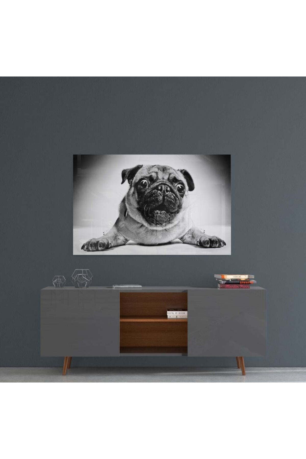 Pug Cam Tablo