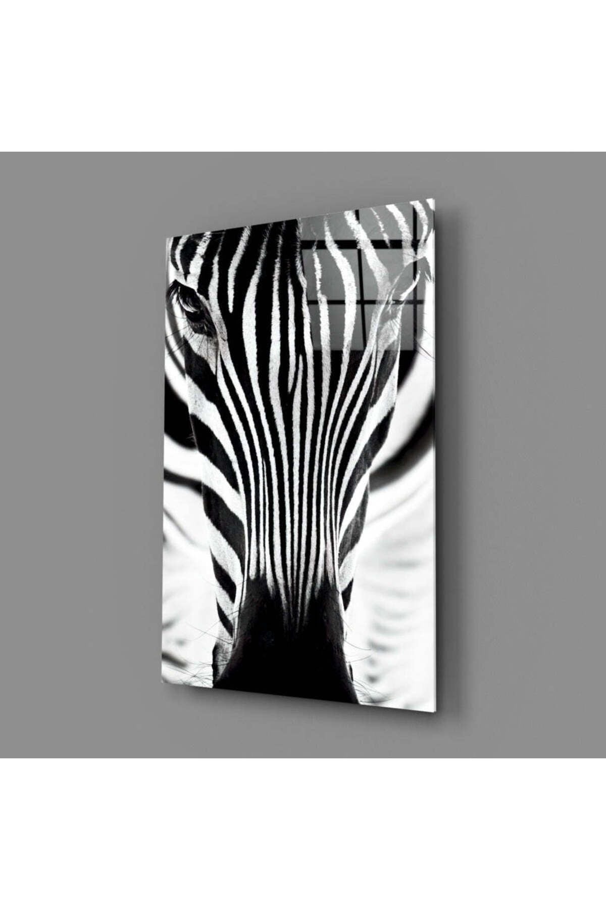 Zebra Cam Tablo