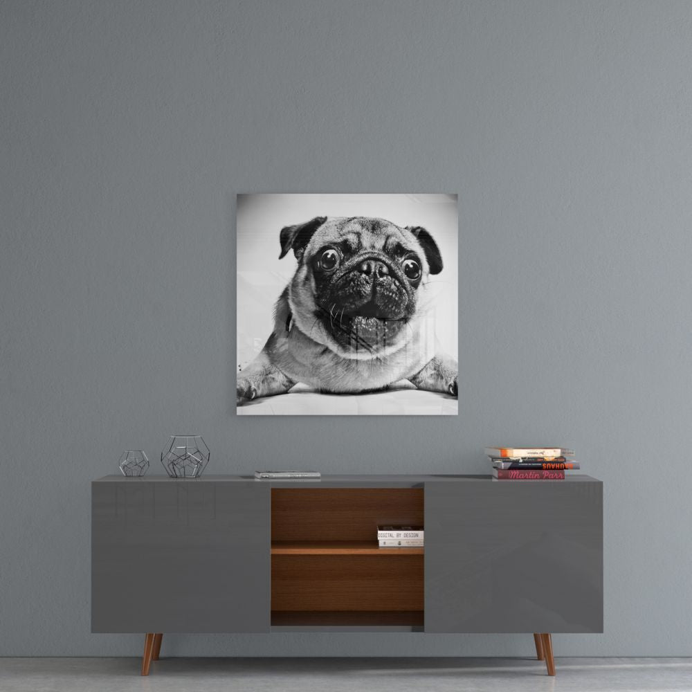 Pug Cam Tablo