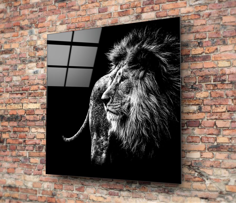 Aslan Cam Tablo