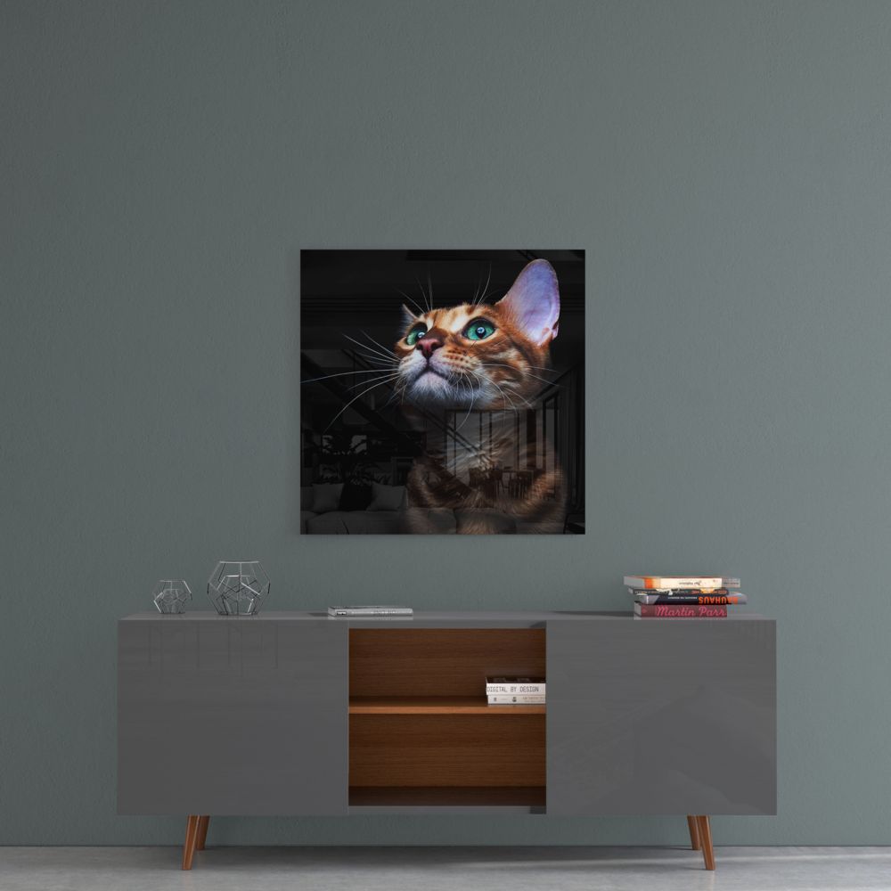 Yavru Kedi Cam Tablo