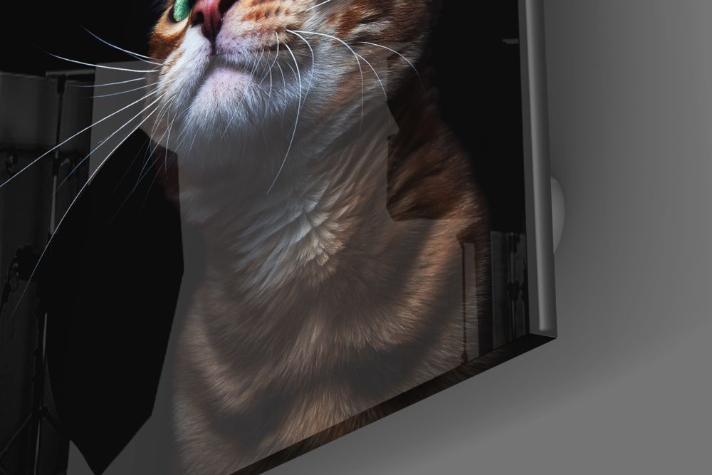 Yavru Kedi Cam Tablo