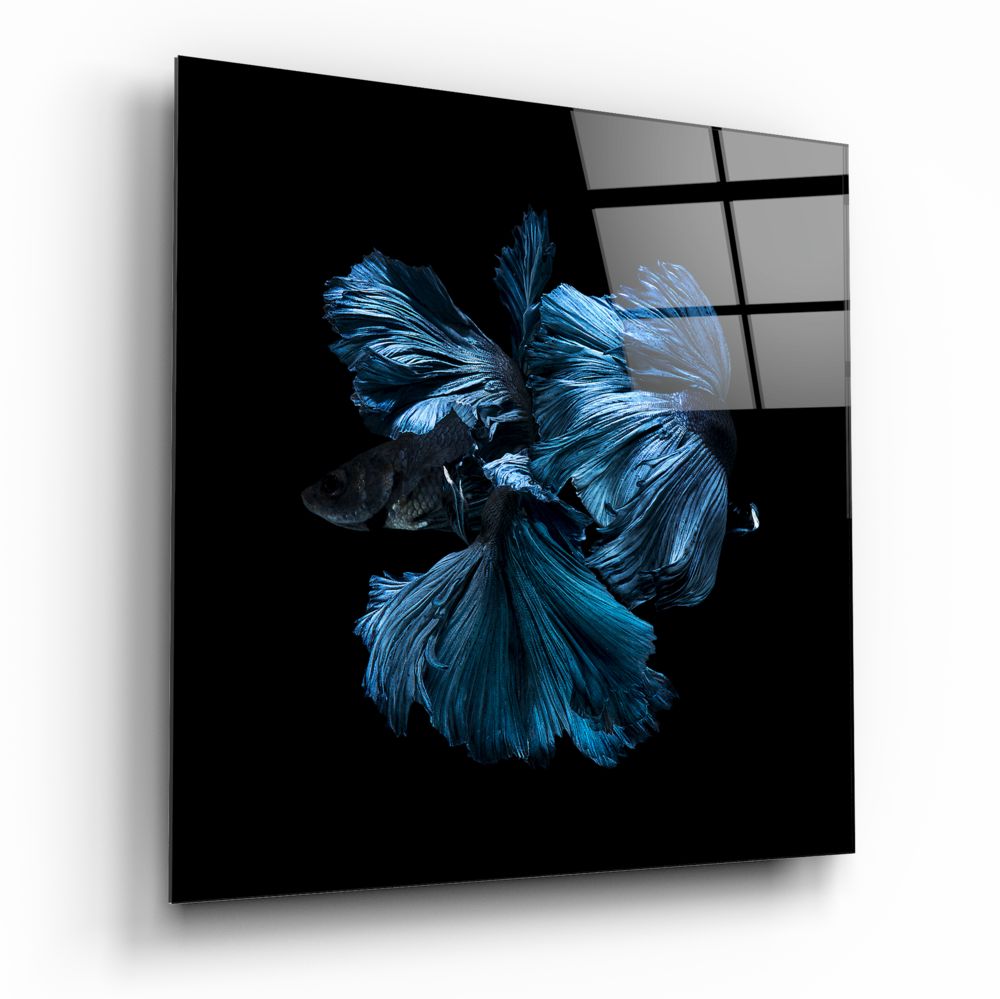 Betta Balık Cam Tablo