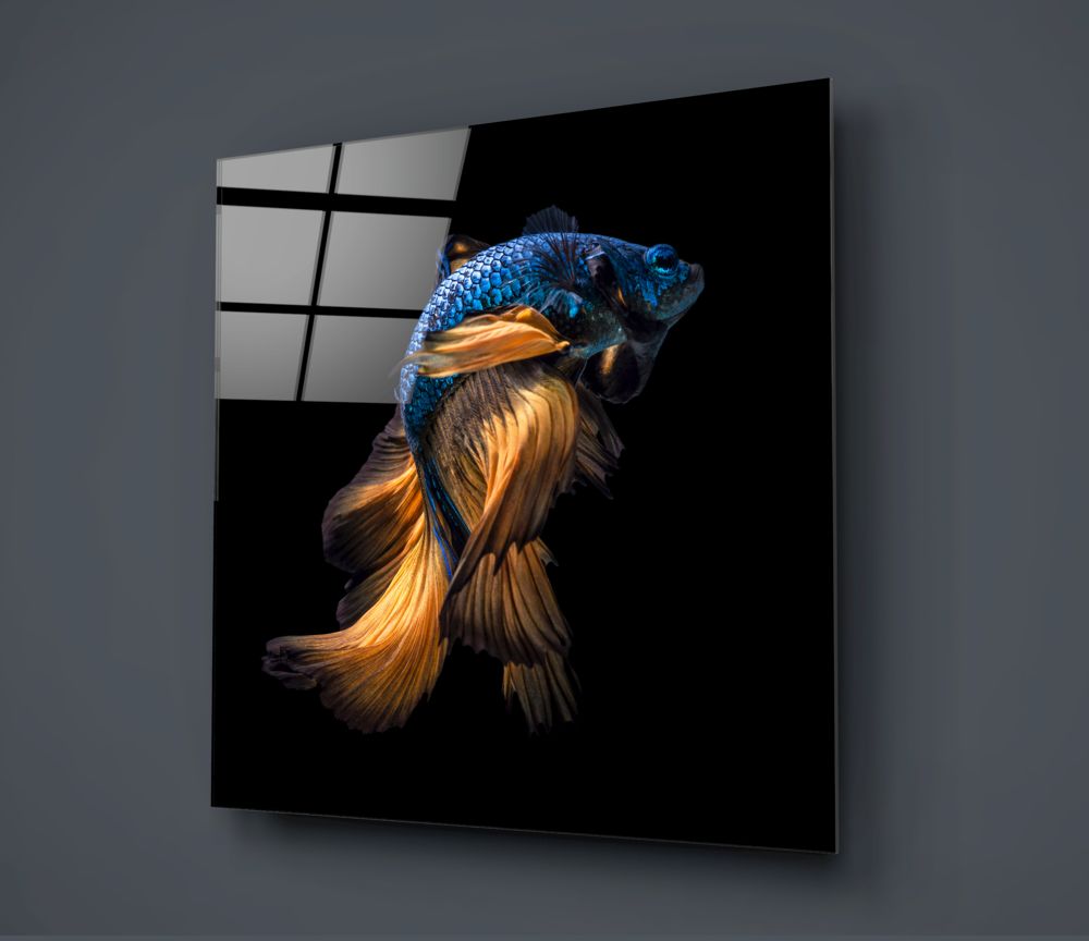 Betta Balık Cam Tablo