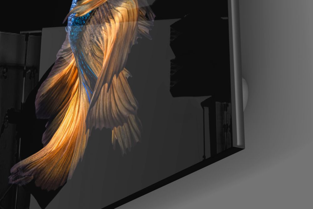 Betta Balık Cam Tablo