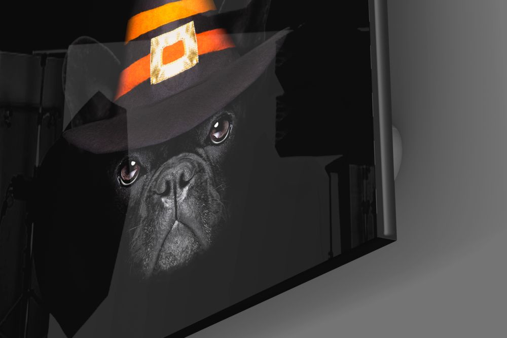 Köpek Cam Tablo