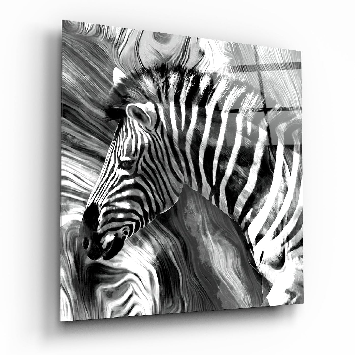 Zebra Cam Tablo