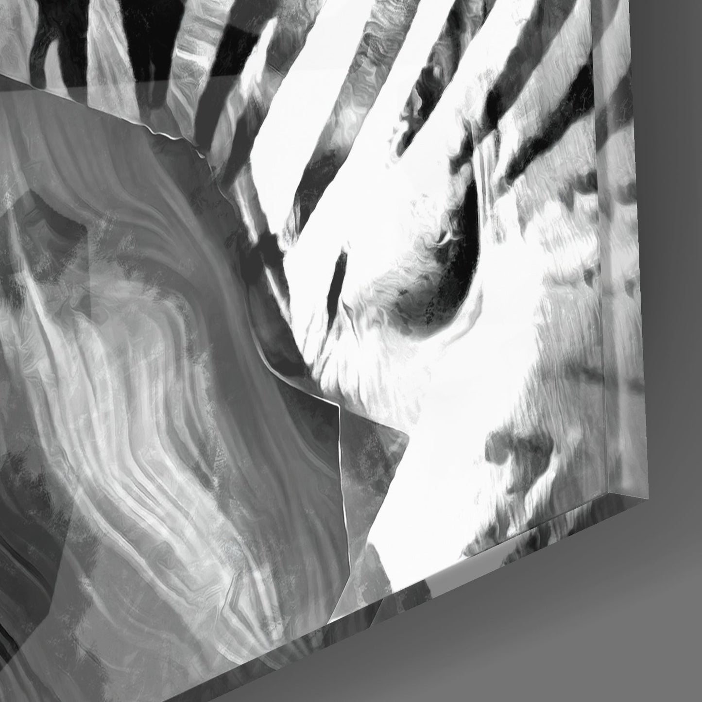 Zebra Cam Tablo
