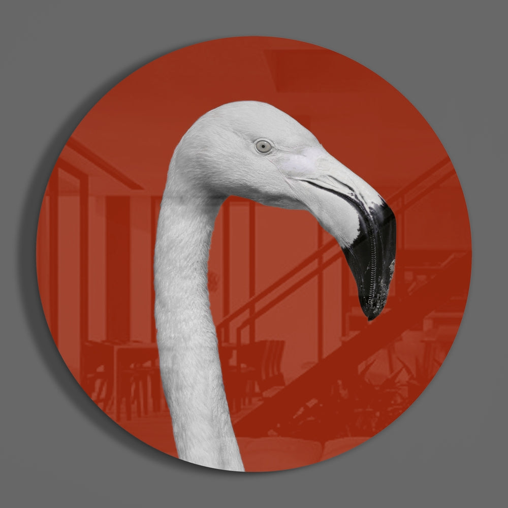 Flamingo Cam Tablo