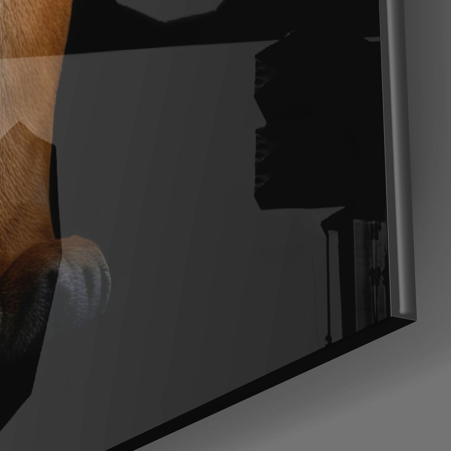 Köpekteki Kaplan Cam Tablo