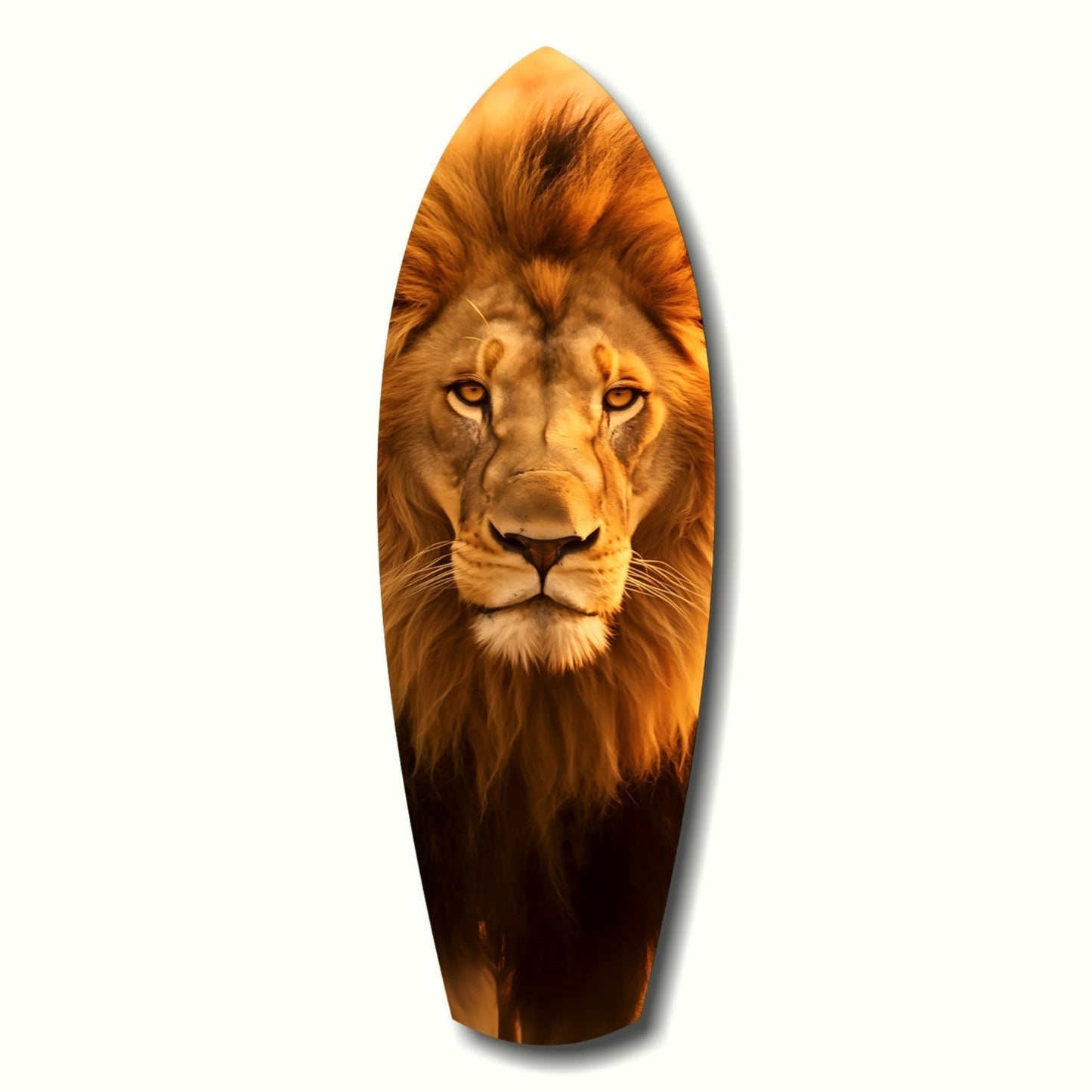 Bay Aslan Cam Tablo
