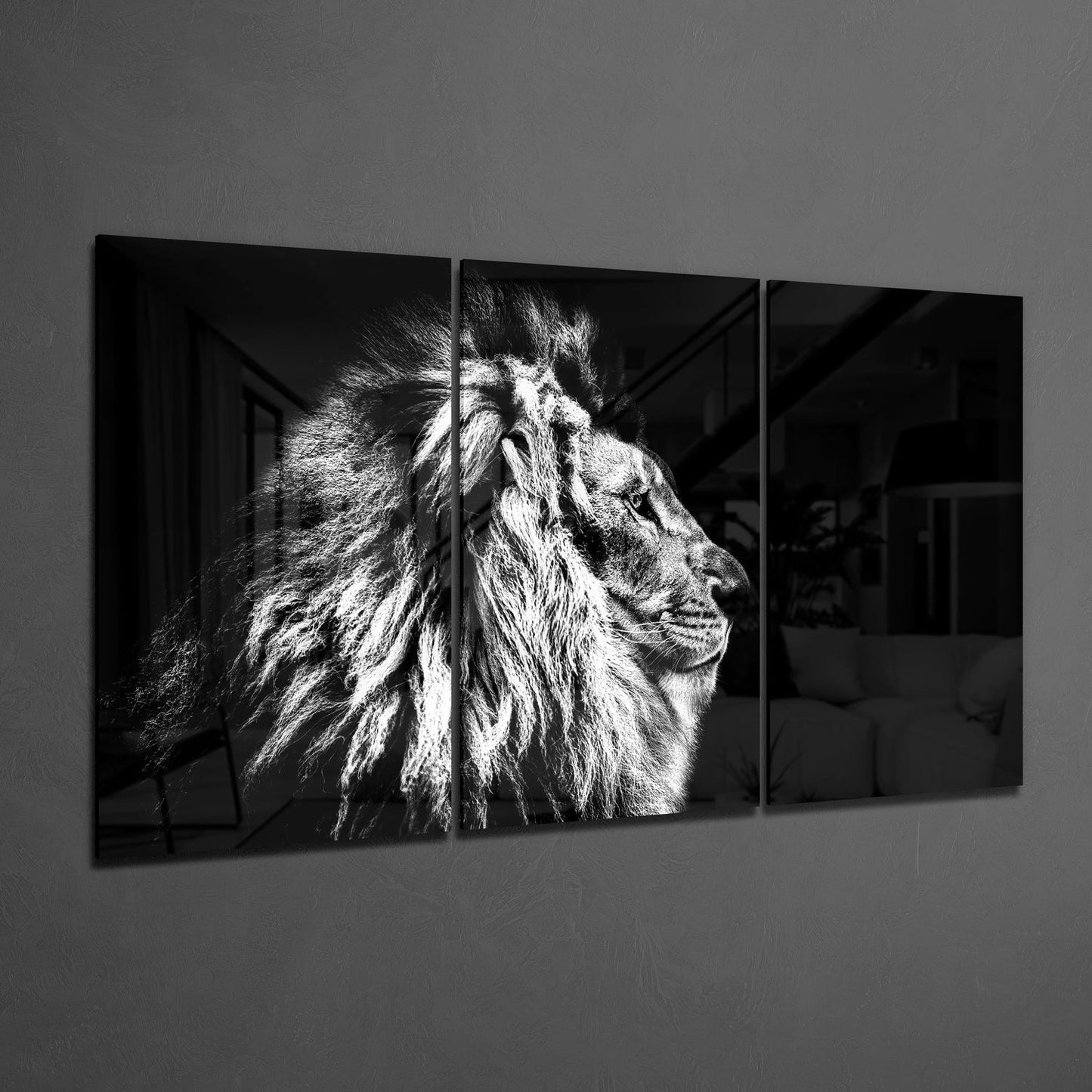 Aslan Mega Cam Tablo