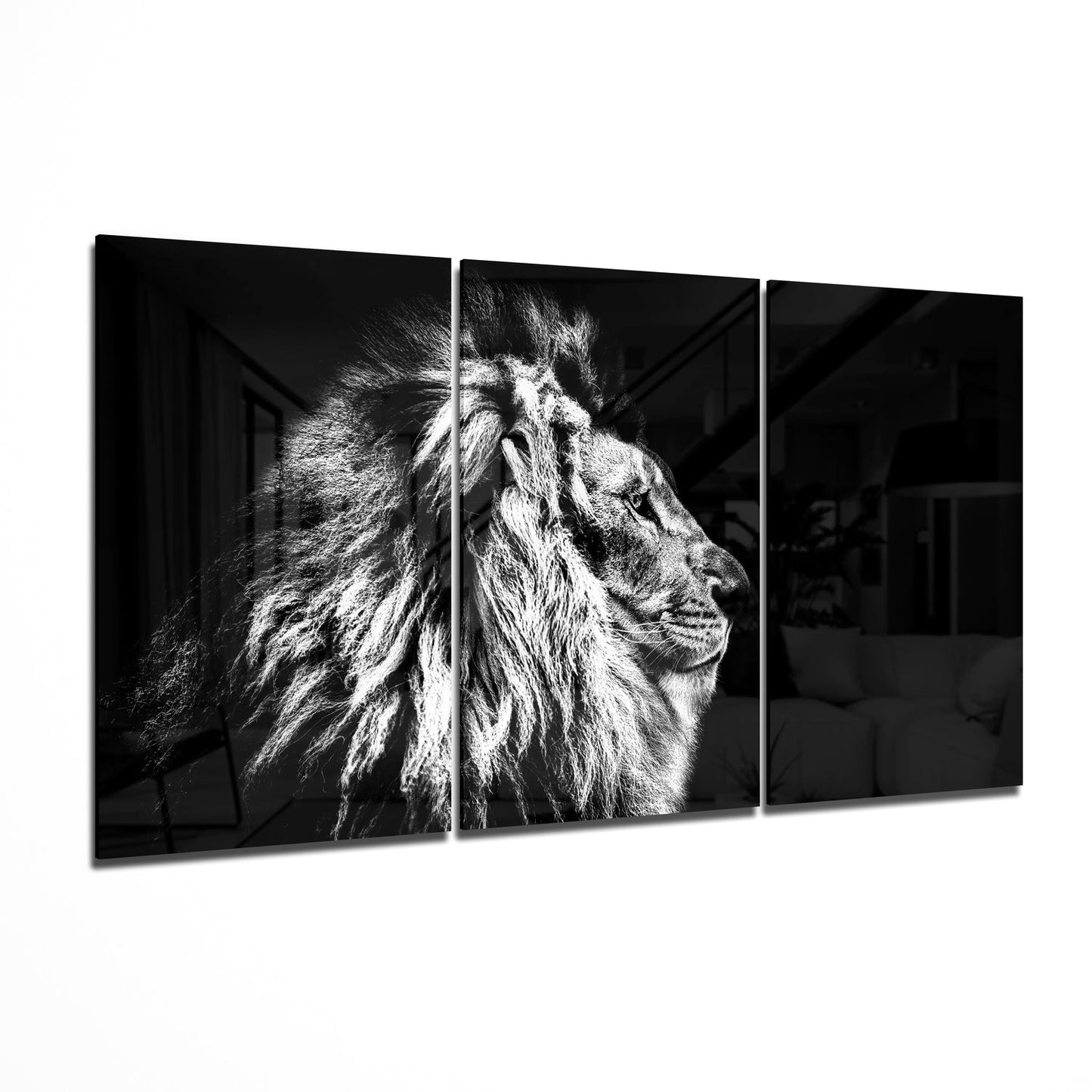 Aslan Mega Cam Tablo