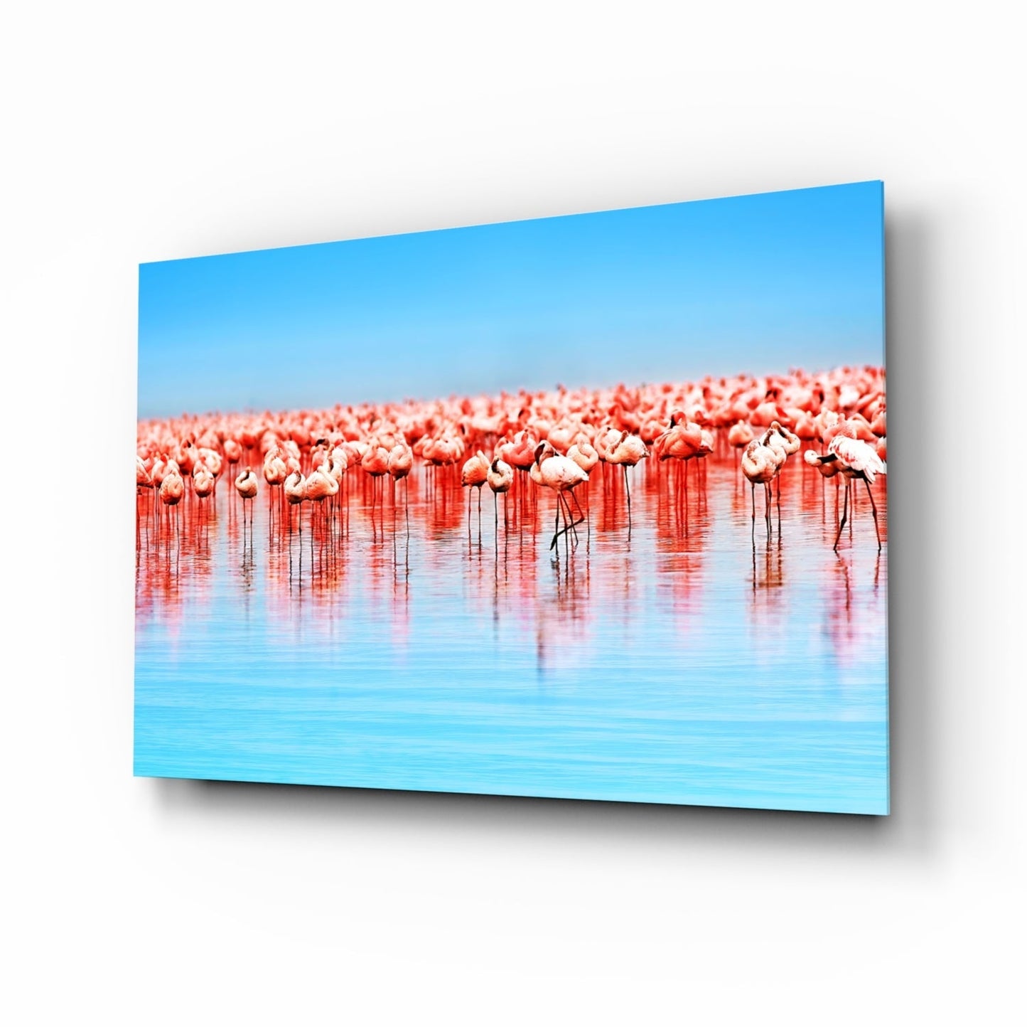 Flamingolar Cam Tablo