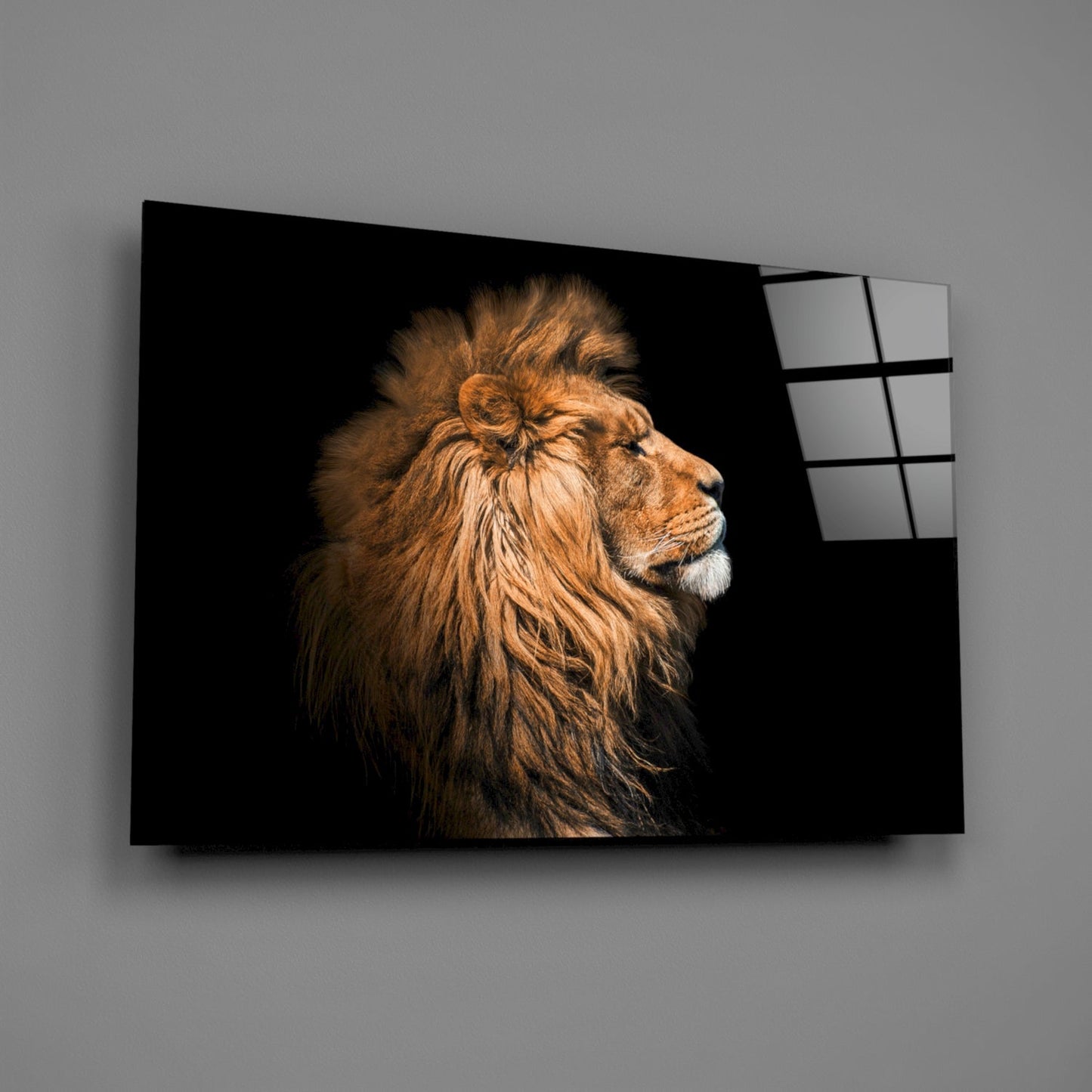 Aslan Cam Tablo
